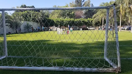 Campos Aredav photo