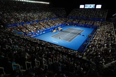 Tennis Professional Team photo