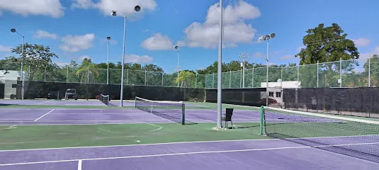 World tennis photo