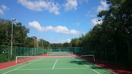 Unidad Deportiva Riviera Maya photo