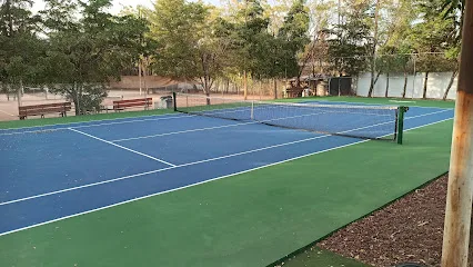 Escuela de Tenis DIVERTENIS photo