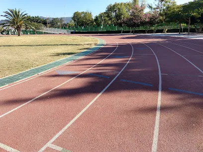 Polideportivo Venustiano Carranza photo
