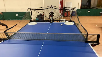 Ping Pong Casa Pong photo
