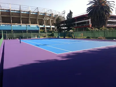 Centro Social y Deportivo Suterm photo
