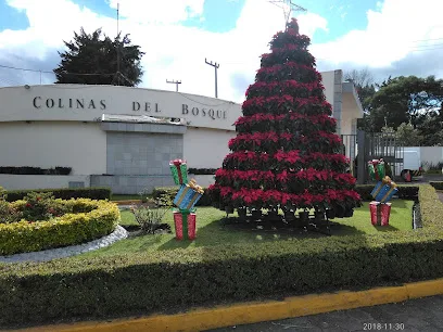 Asociacion de Residentes Colinas del Bosques photo