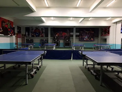Tenis de Mesa Pavón photo