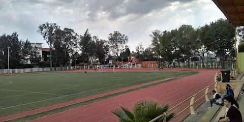 Deportivo Miguel Alemán photo