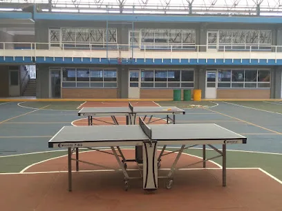 Mesas de Ping Pong photo