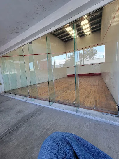 Squash profesional Prince photo