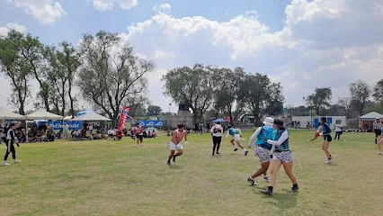 Banana Bowl 2026 photo