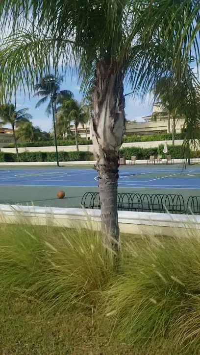 Tennis & Basketball Courts photo