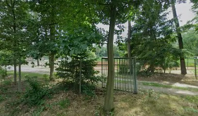 Tennisbanen photo