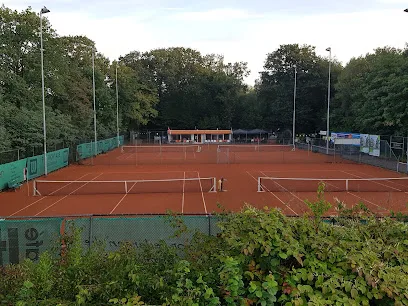 Tennisvereniging Oranjewoud photo
