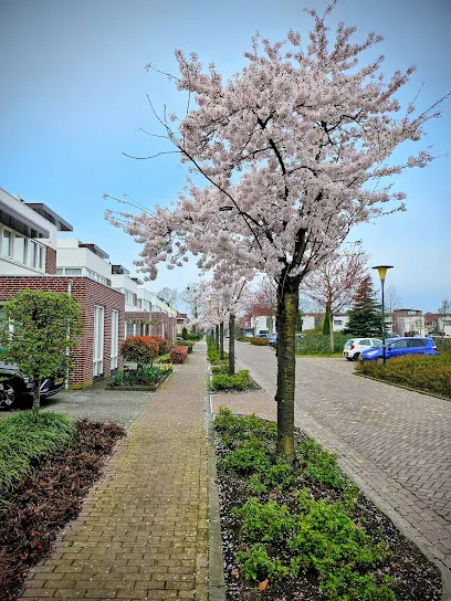 Keelpark photo
