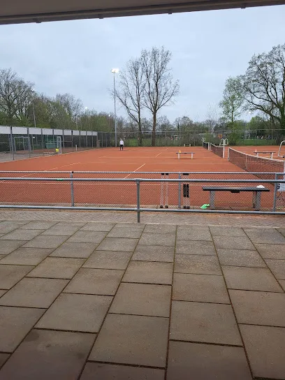 Tennisbaan Harkema photo