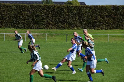 Voetbalvereniging Oeverzwaluwen photo