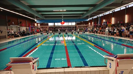 Zwembad Kalverdijkje photo