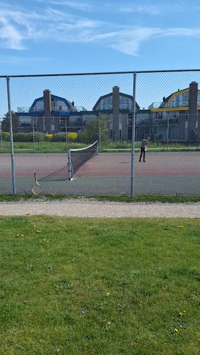 Tennisbaan Landal Ooghdyune photo