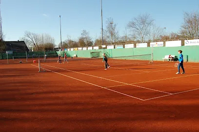 BSV Tennis Bergen photo