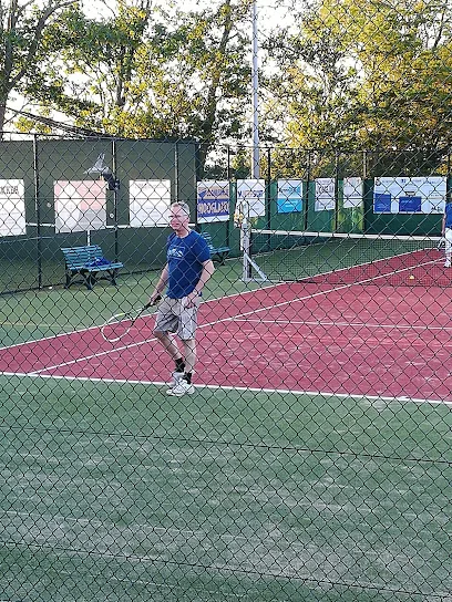 Tennisvereniging "Boerenslag" photo