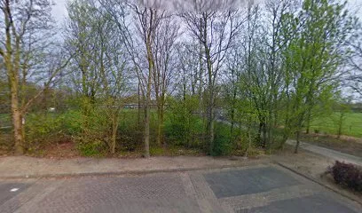 T.V. De Vlieter photo