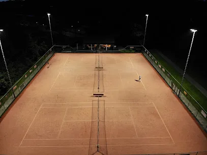 Tennisvereniging Stedeke photo