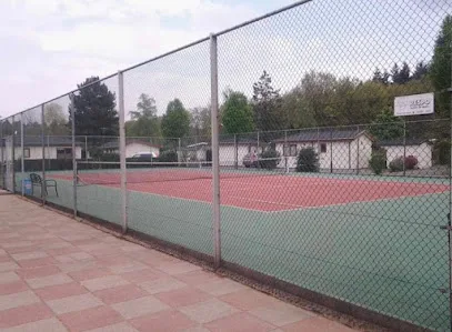 Tennisbaan Kerkendel photo