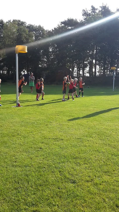 Christelijke Korfbalvereniging DKOD photo