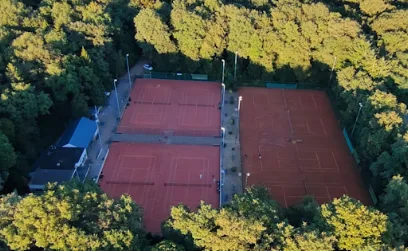 Human tennis photo