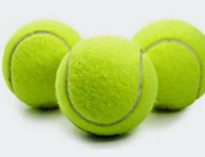 Bijdorp Tennis photo