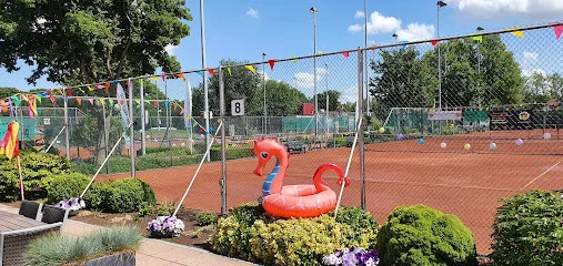 All In Aalsmeer photo