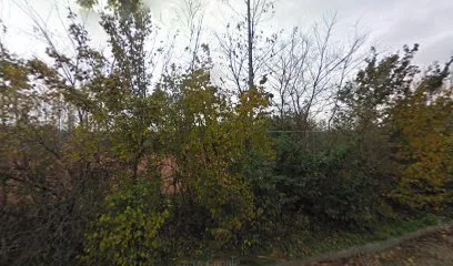 Tennisclub Sint-Annaland photo