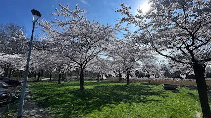 Stadspark Hoofddorp photo