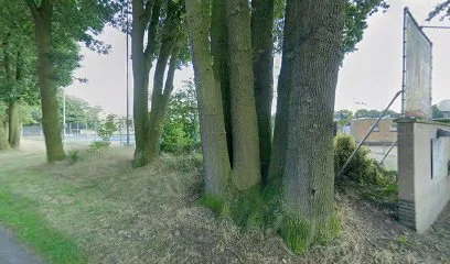 T.P. Loonse Duinen photo
