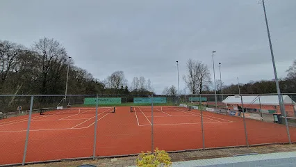 Tennisclub Nijverdal photo