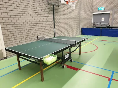 Tafeltennisvereniging "Asterix" photo