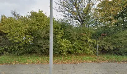 Tennis Club Rotterdam-Ommoord Alexanderpolder-Zevenhuizen photo