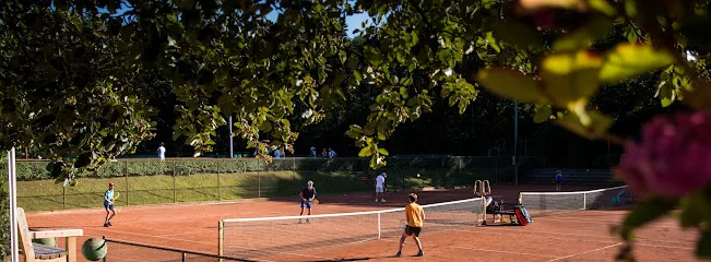 HTV Hanenburg🎾 photo