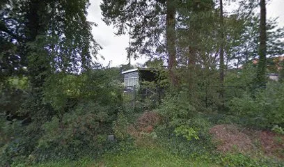 Biltse Tennisduinen 🎾 photo