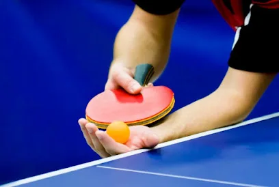 Tafeltennisvereniging D.H.C. photo