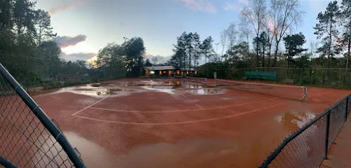 Holland Tennis photo