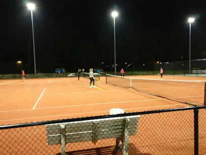 Lawn Tennisvereniging Triaq photo