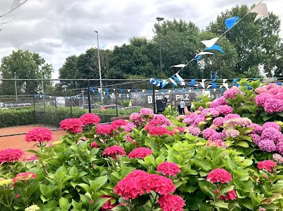 Lawntennisvereniging "Vianen" photo