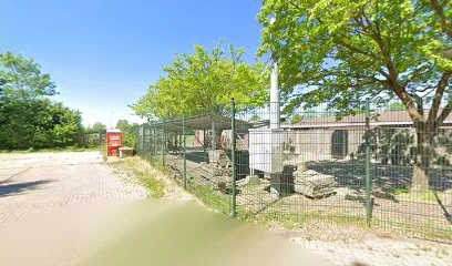 Voetbalvereniging Zsc'62 photo