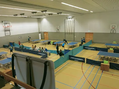 SVO Tafeltennis photo