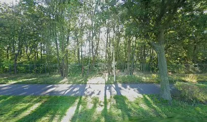 Noordwijkse IJsclub photo