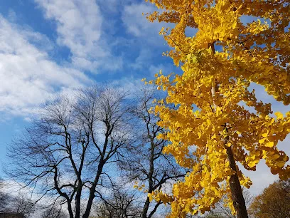 Lubroveld speelplaatsje photo