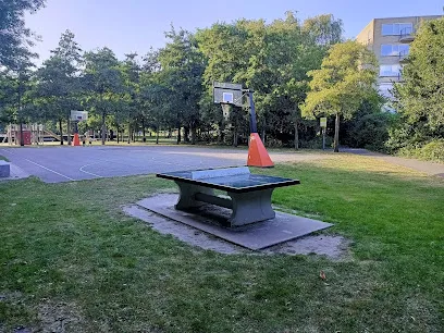 Bokke Basketball court photo