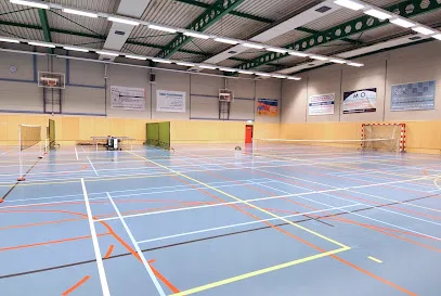 Sporthal Loosduinen photo