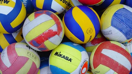 Sovicos Volleybal vereniging Den Haag photo